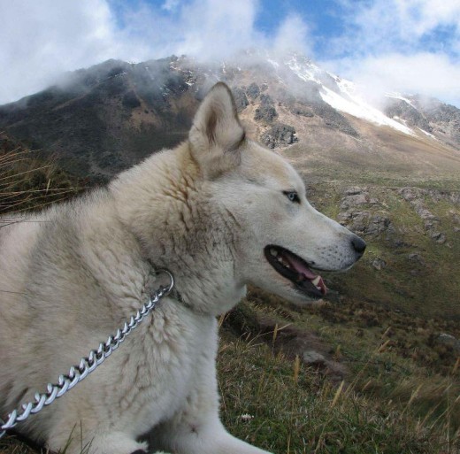 Caminando a los Ilinizas.. 